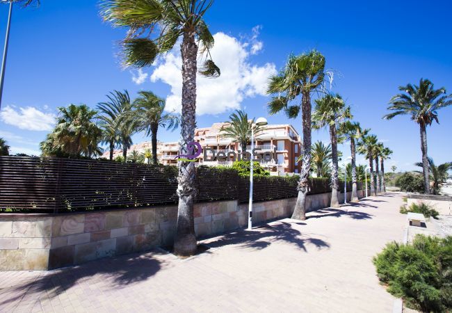 Apartamento en Denia - 173 Estrella De Mar Apartamento en Denia - 173 Estrella De Mar