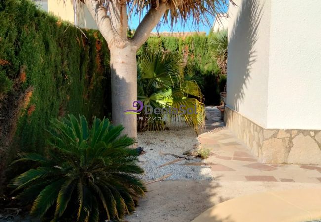 Villa en Denia - 046 Villa Olivar - Pera Villa en Denia - 046 Villa Olivar - Pera