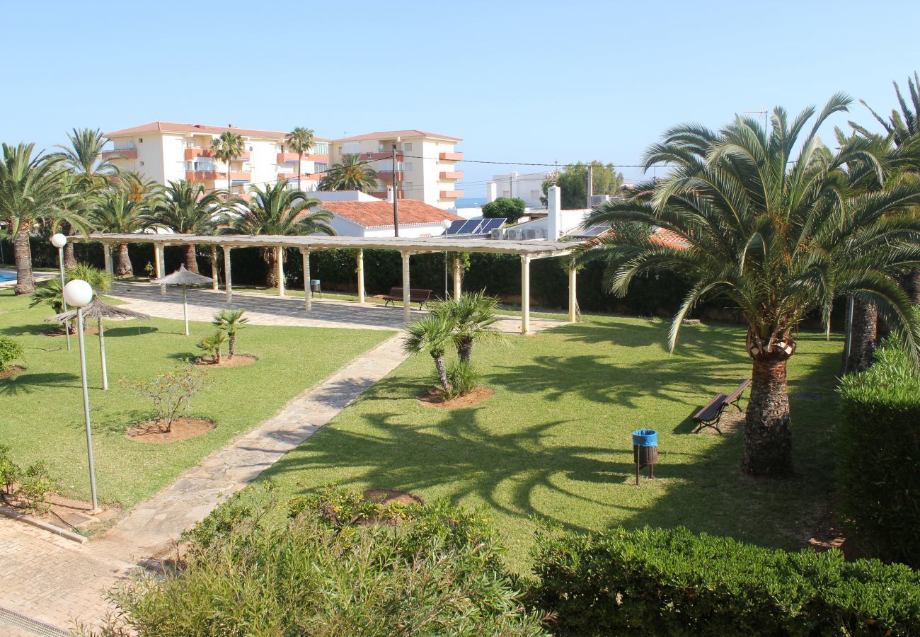 Apartamento en Denia - 192 Mediterráno Playa, 40