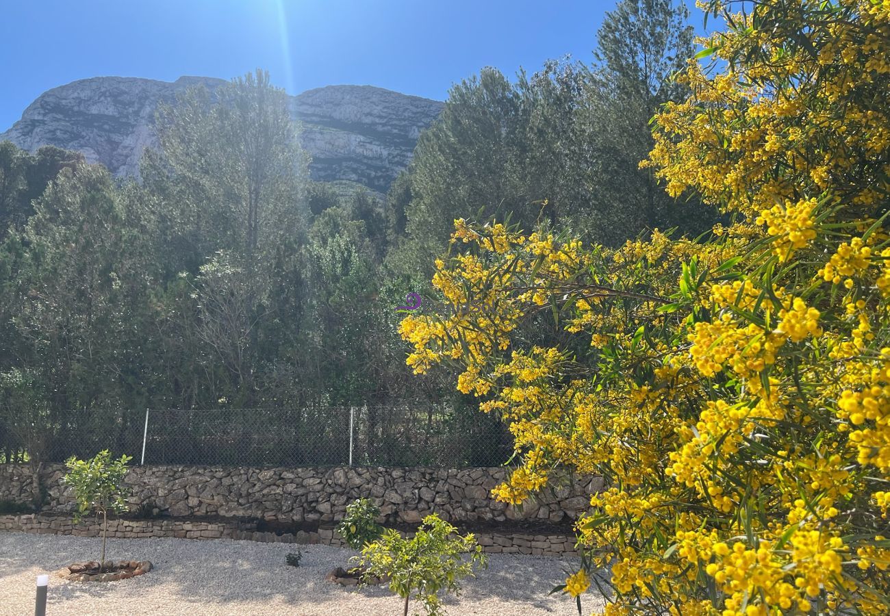 Villa en Denia - 024 Villa Sianda