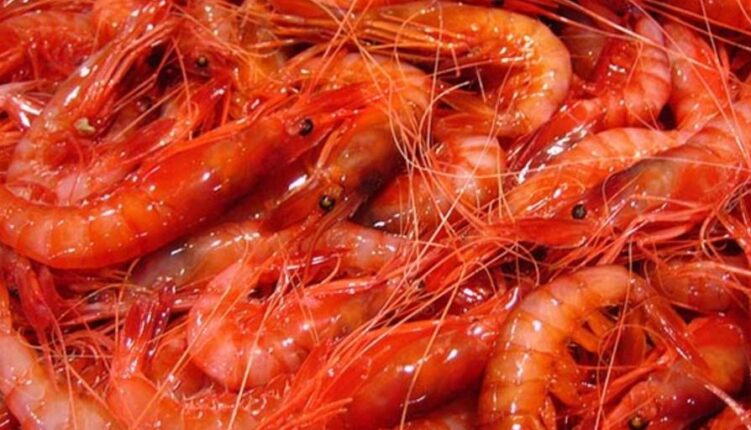 gambas rojas de denia
