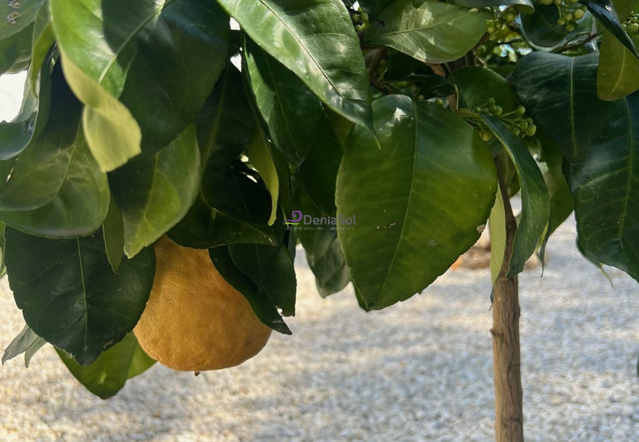 Villa in Denia - 024 Villa Sianda