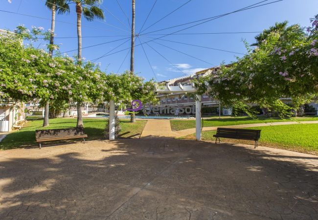 Apartment in Denia - 104 Paraiso II Apartment in Denia - 104 Paraiso II