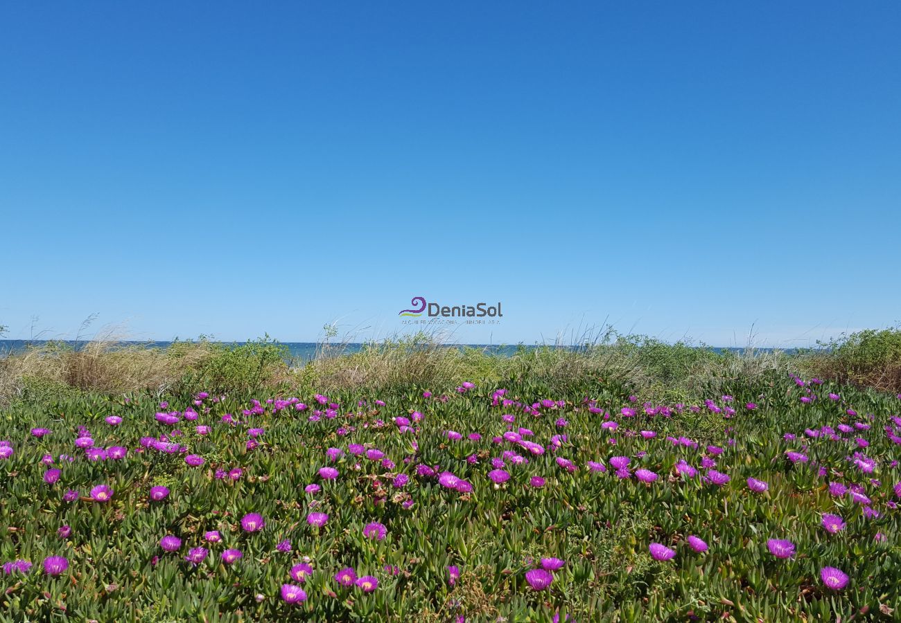 The beach in april