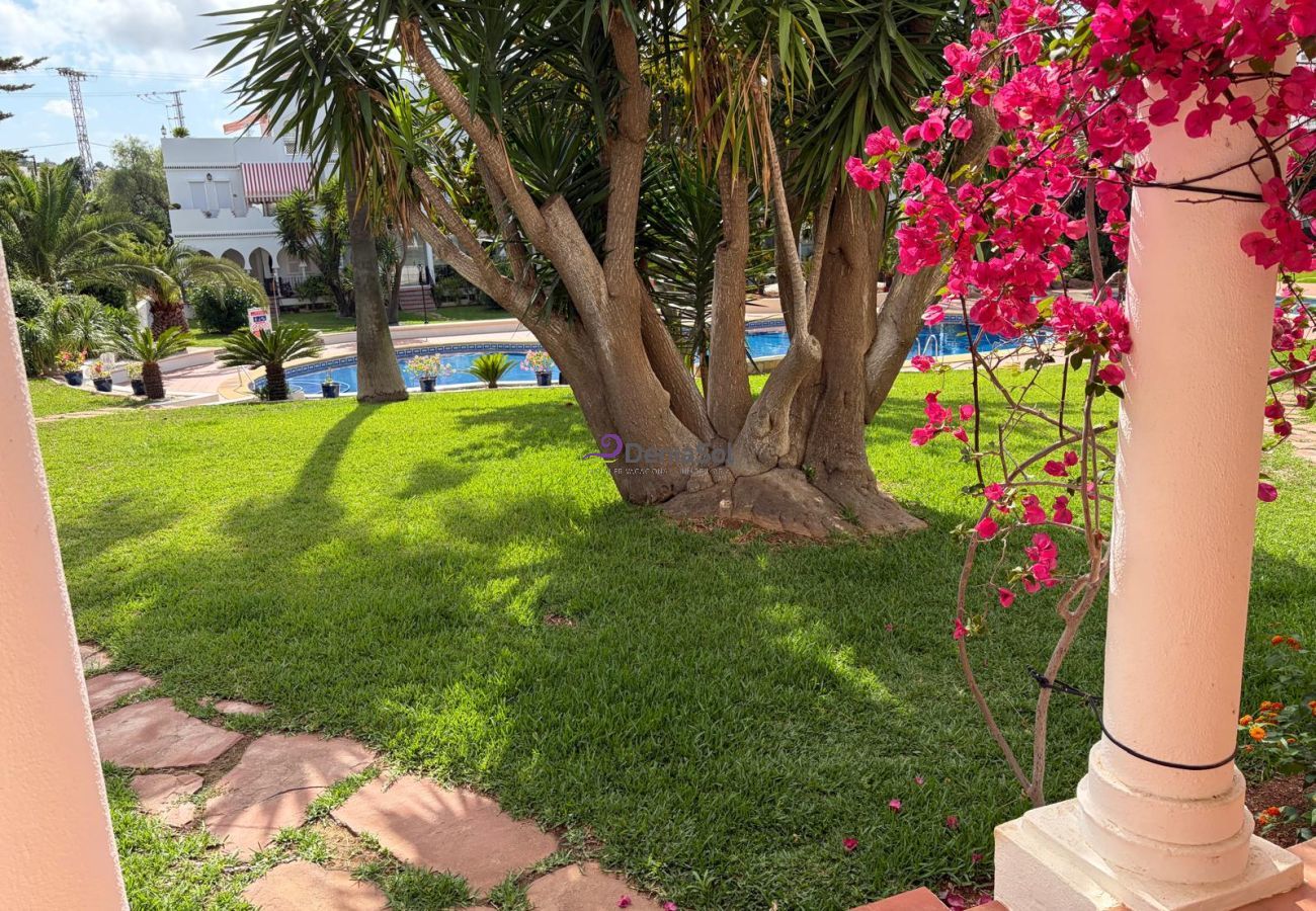 Apartment in Denia - 124 Al Khalif