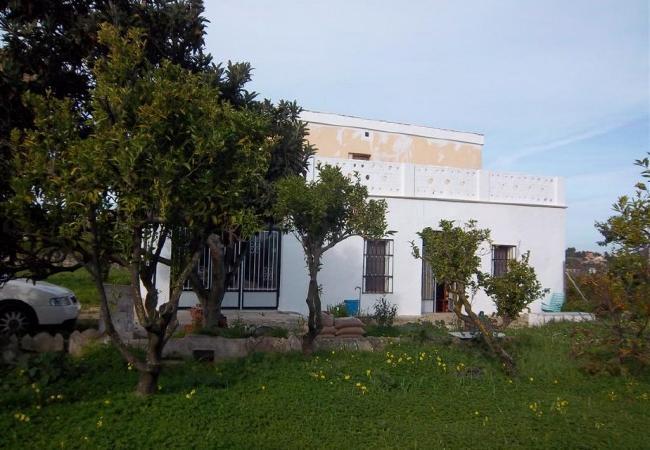 Gîte Rural à Pedreguer - DE 155 COMTESSA
