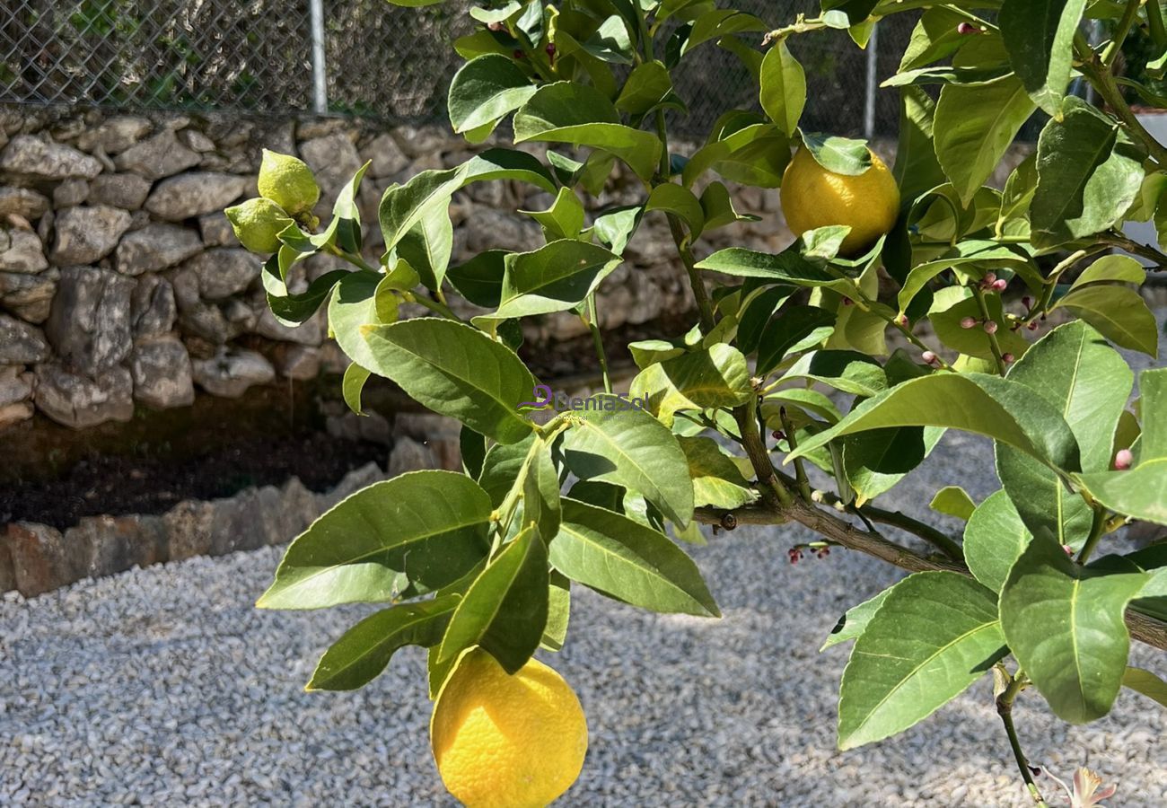 Villa à Denia - 024 Villa Sianda