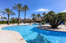 Reihenhaus in Denia - Palmar