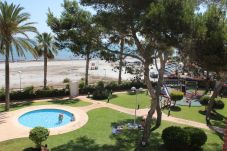 Apartment in Denia - Azul Marino